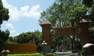 良凤江国家森林公园 良凤江国家森林公园