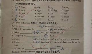 五年级考试卷 五年级考试卷